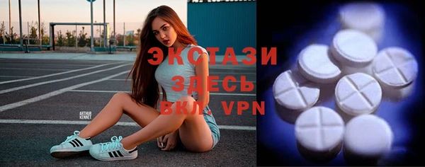 гашик Снежногорск