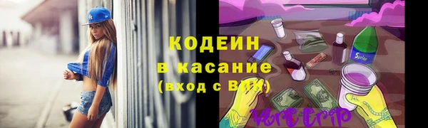 гашик Снежногорск
