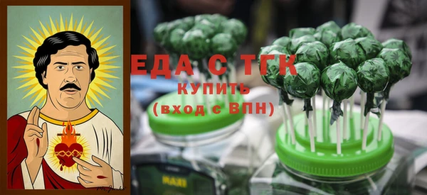 гашик Снежногорск