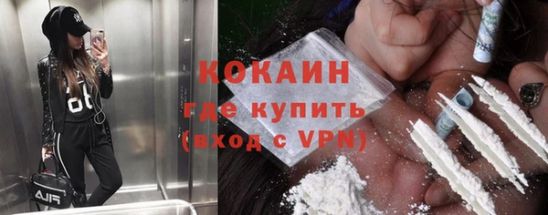 гашик Снежногорск