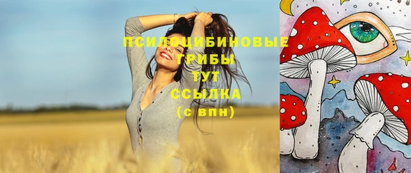 гашик Снежногорск