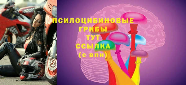 амф Снежинск