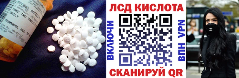 как найти закладки  Магас  ЛСД экстази кислота 